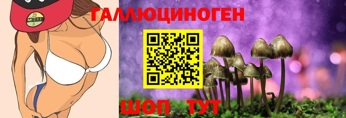 Оренбург  Галлюциногенные грибы мухоморы  Вход с VPN 